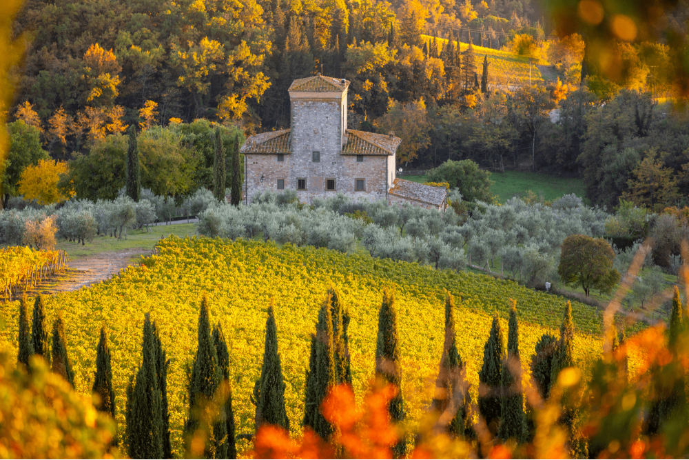 Borgo nel Chianti