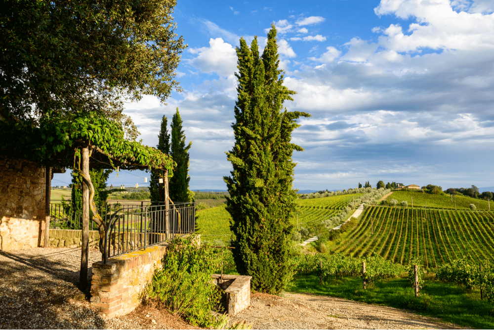 Farmhouse in Chianti