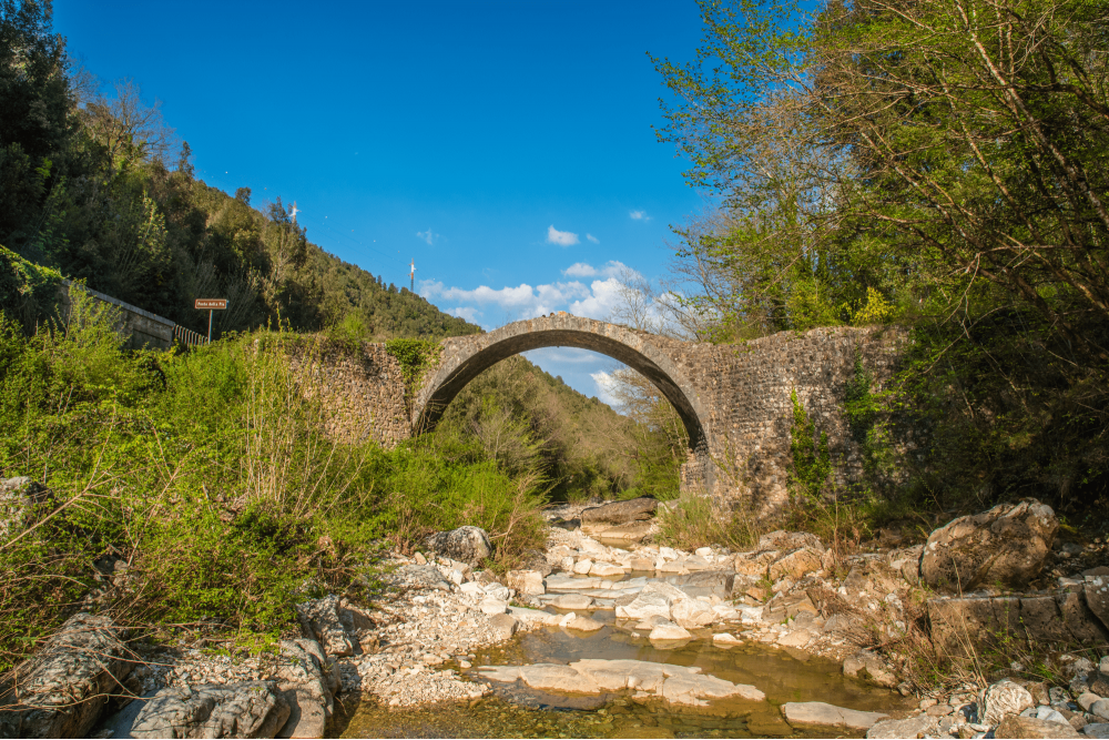 Ponte della Pia