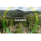 A spasso nel Chianti