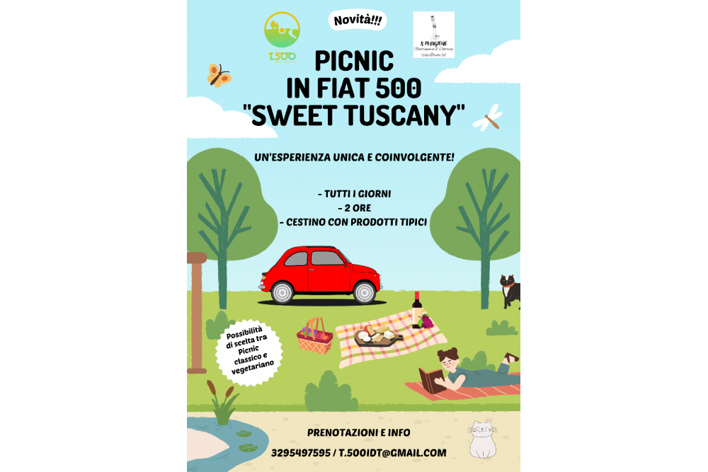 Picnic in Fiat 500